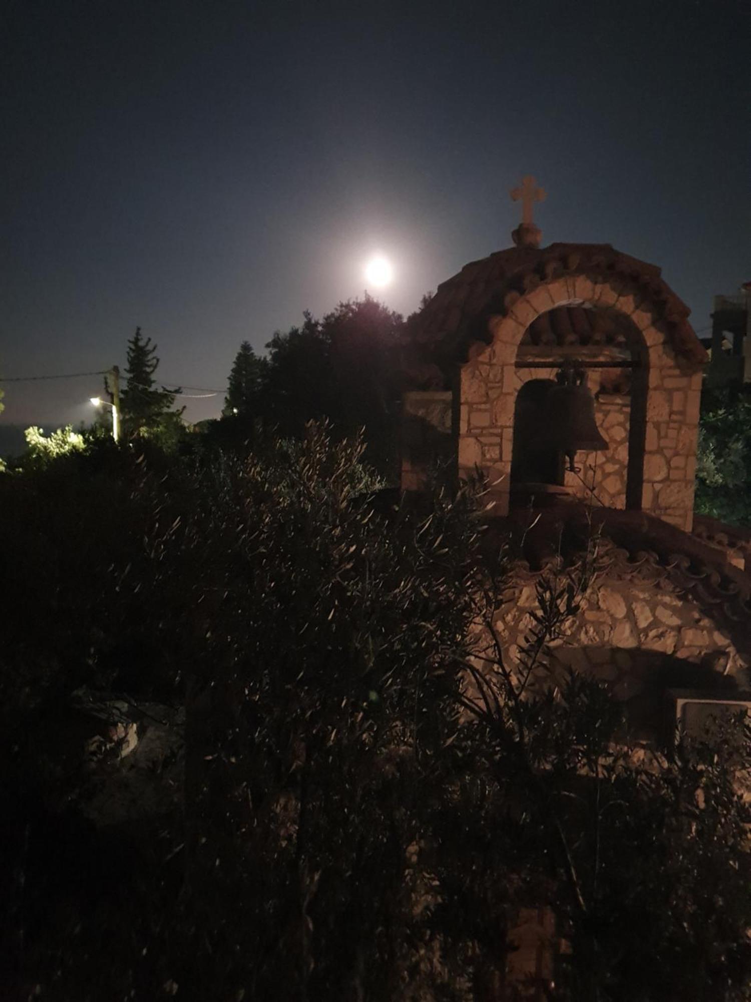 Belvedere Zakynthos Studios Vasilikí Eksteriør bilde