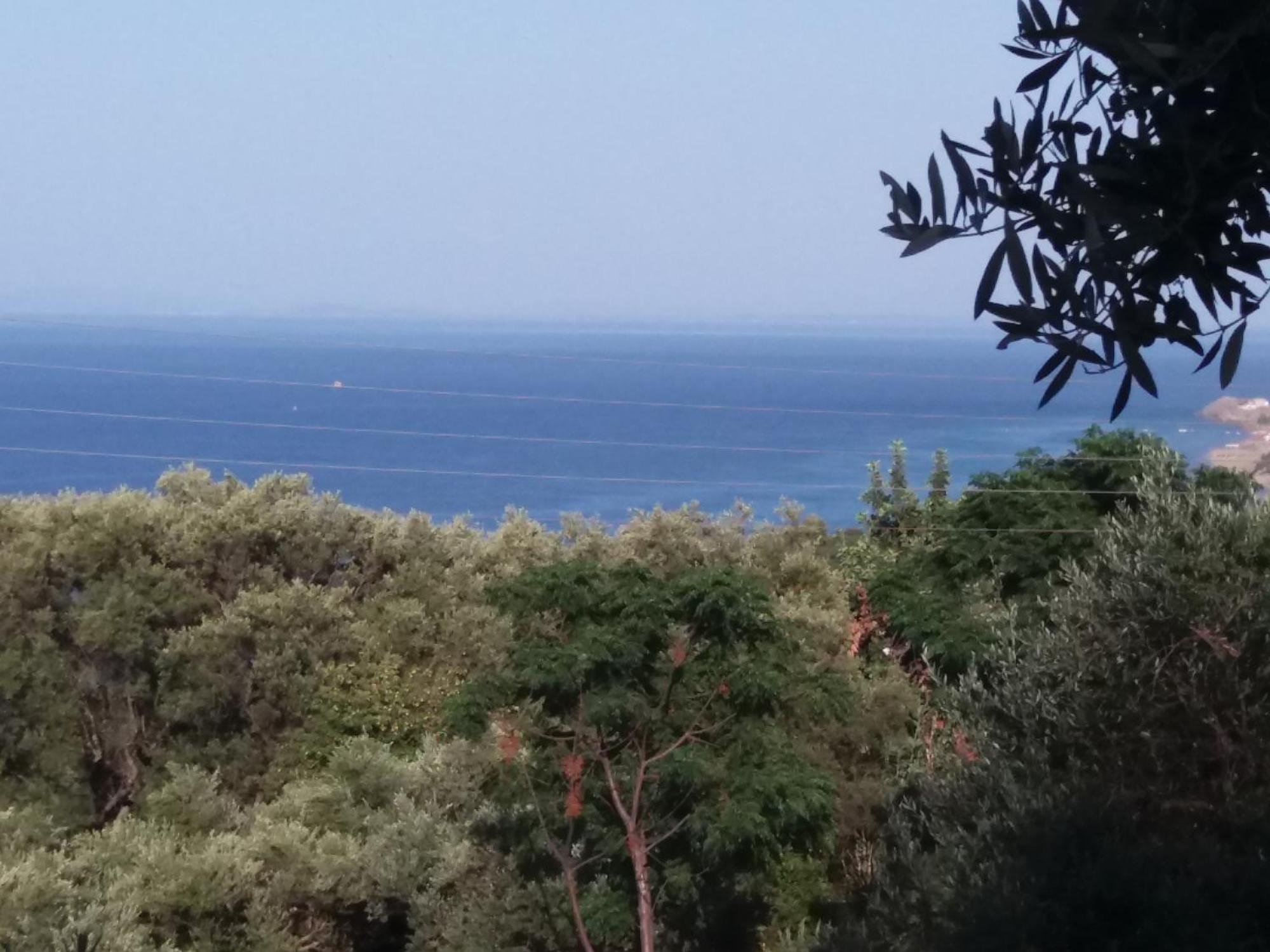 Belvedere Zakynthos Studios Vasilikí Rom bilde