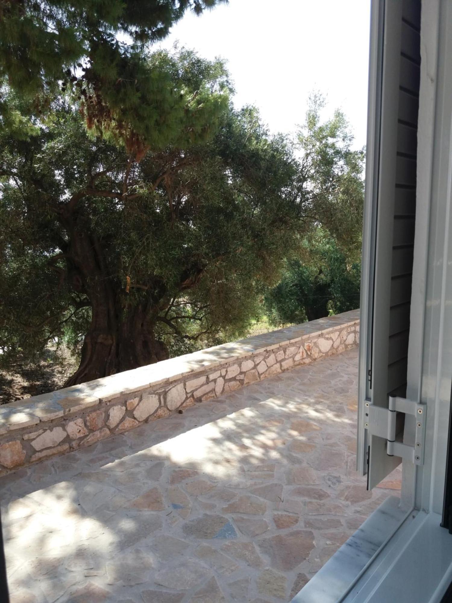 Belvedere Zakynthos Studios Vasilikí Rom bilde