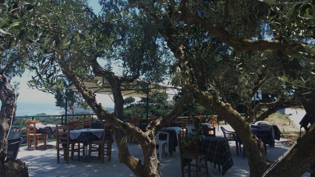 Belvedere Zakynthos Studios Vasilikí Eksteriør bilde