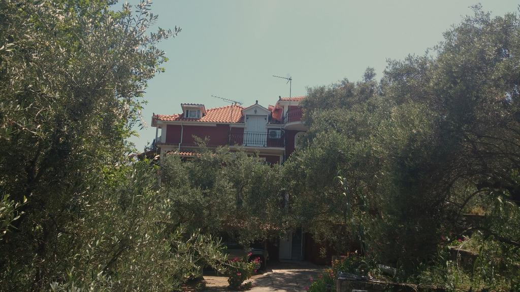 Belvedere Zakynthos Studios Vasilikí Eksteriør bilde