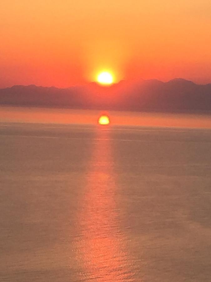 Belvedere Zakynthos Studios Vasilikí Eksteriør bilde